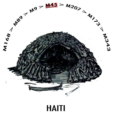8-haiti