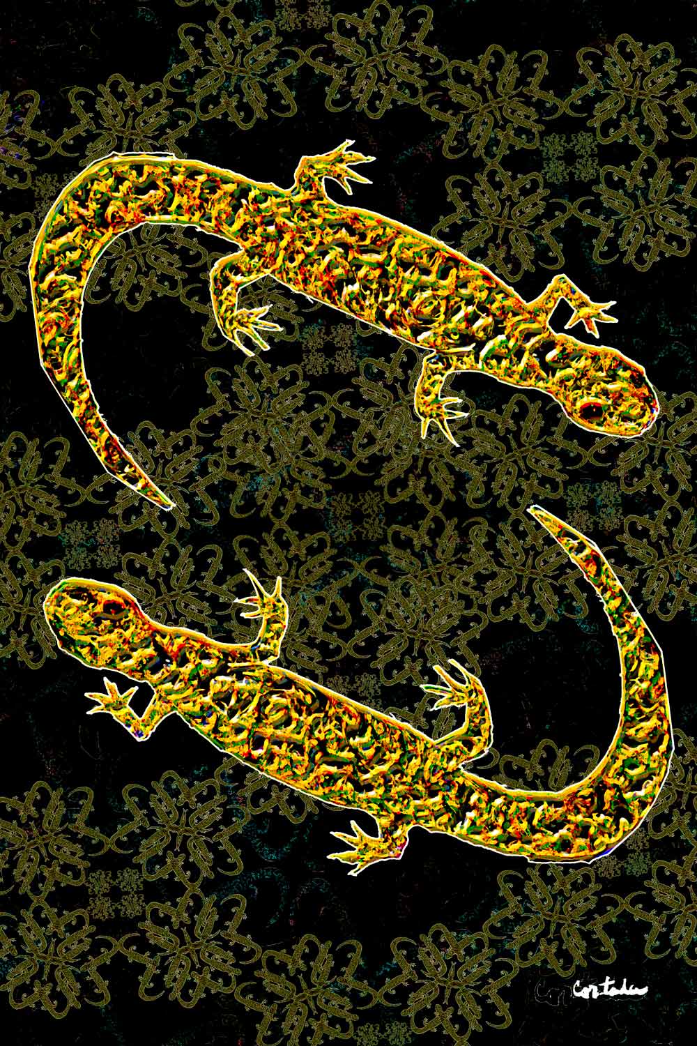 Xavier Cortada, “Florida is… Salamanders,” digital art, 2015. (www.florida-is.com)