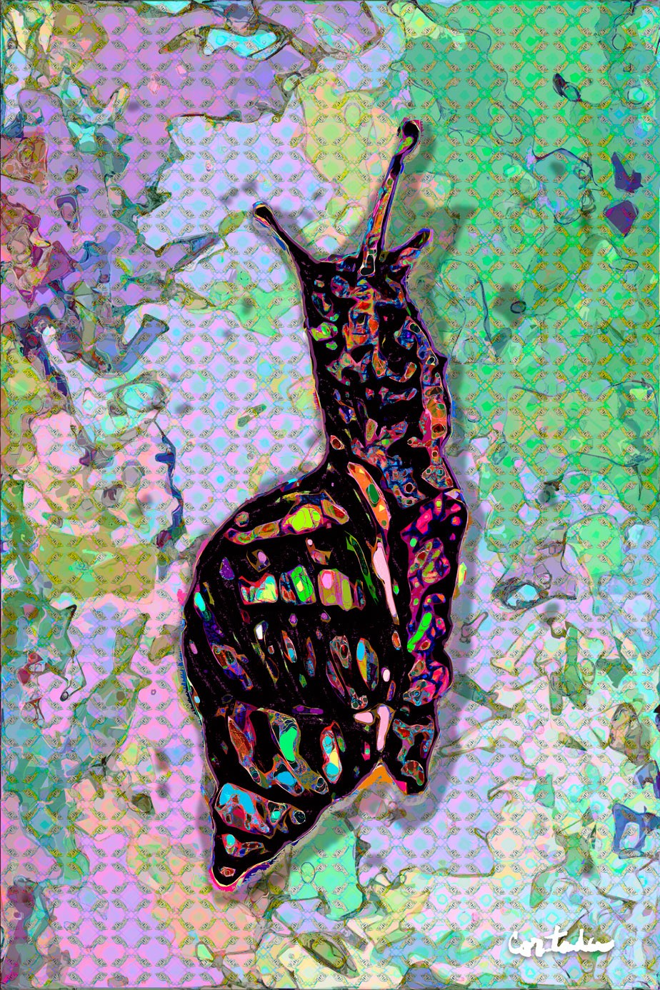 Xavier Cortada, “Florida is… Tree Snails,” digital art, 2015. (www.florida-is.com)