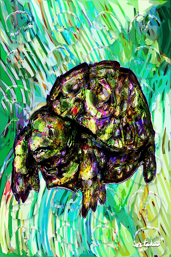 Xavier Cortada, “(Florida is…) Gopher tortoises,