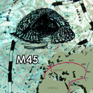 m45-w-ancestral journey