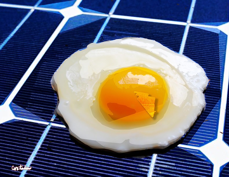 cortada-solar-egg-hotforhialeah