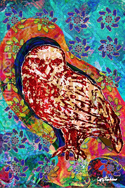 Xavier Cortada, “(Florida is…) Burrowing Owls, archival ink on aluminum, 60″ x 40”, 2016